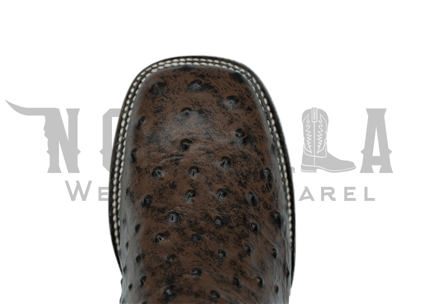 Struthio Print Boot