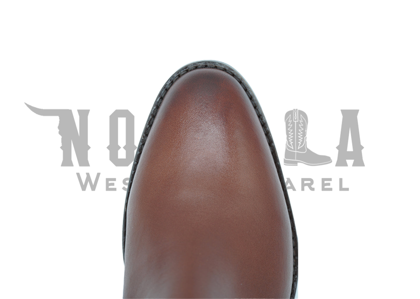 FN- Botin Chelsea - Shedron